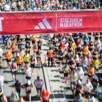 Stockholms marathon start