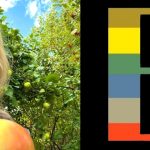 Förslag: Inför en Ta tillvara-dag – så fungerar den