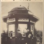 Aktuellt från Seniorhälsan för dig 65+ i okt–nov 2025