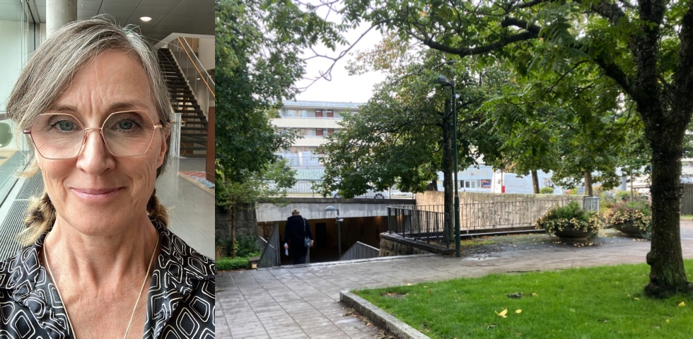 collage kvinna trappa