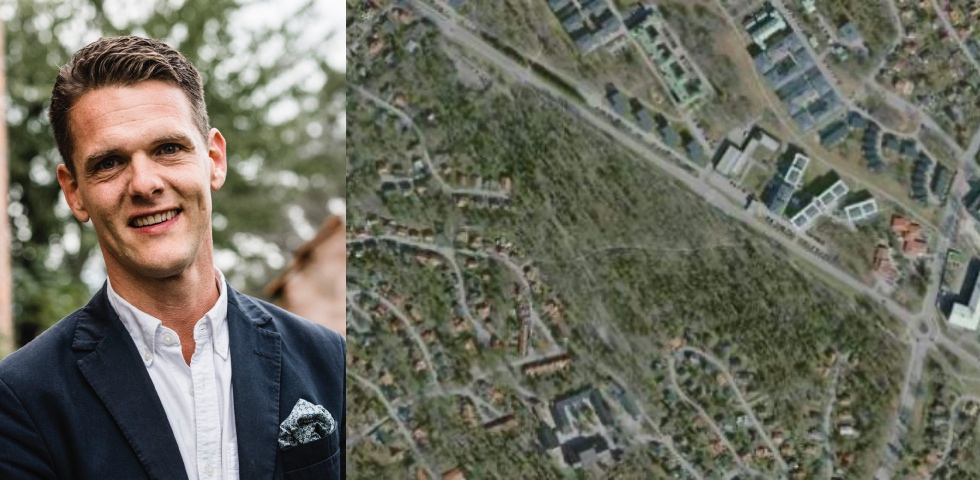 collage man grönområde