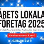 Vilka är årets lokala företag i Hägersten-Älvsjö 2025?