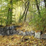 Stort hundrastområde vid Trekanten avvecklas