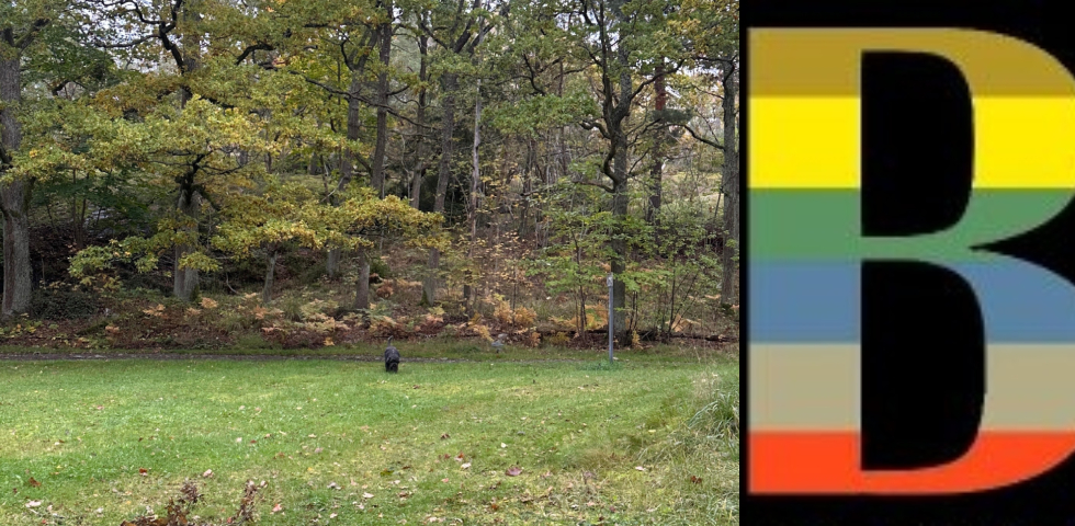 Collage på grönområde och logga