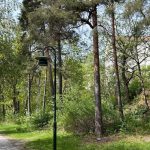 Nytt försök med nytt bostadsprojekt i grönområde vid Lugnet  i Västertorp: Tryggheten kan öka