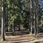 MP: Fler naturreservat – färre byggen i grönområden – så ska det gå till
