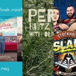 Händer i helgen 29-31 maj i Hägersten- Älvsjö- Skärholmen: 15 tips