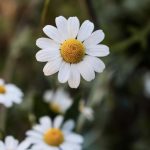 Aktuellt från Seniorhälsan för dig 65+