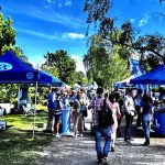 Krönika: Folkfest och valkampanj i villaförorten