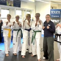 grupp kampsportare